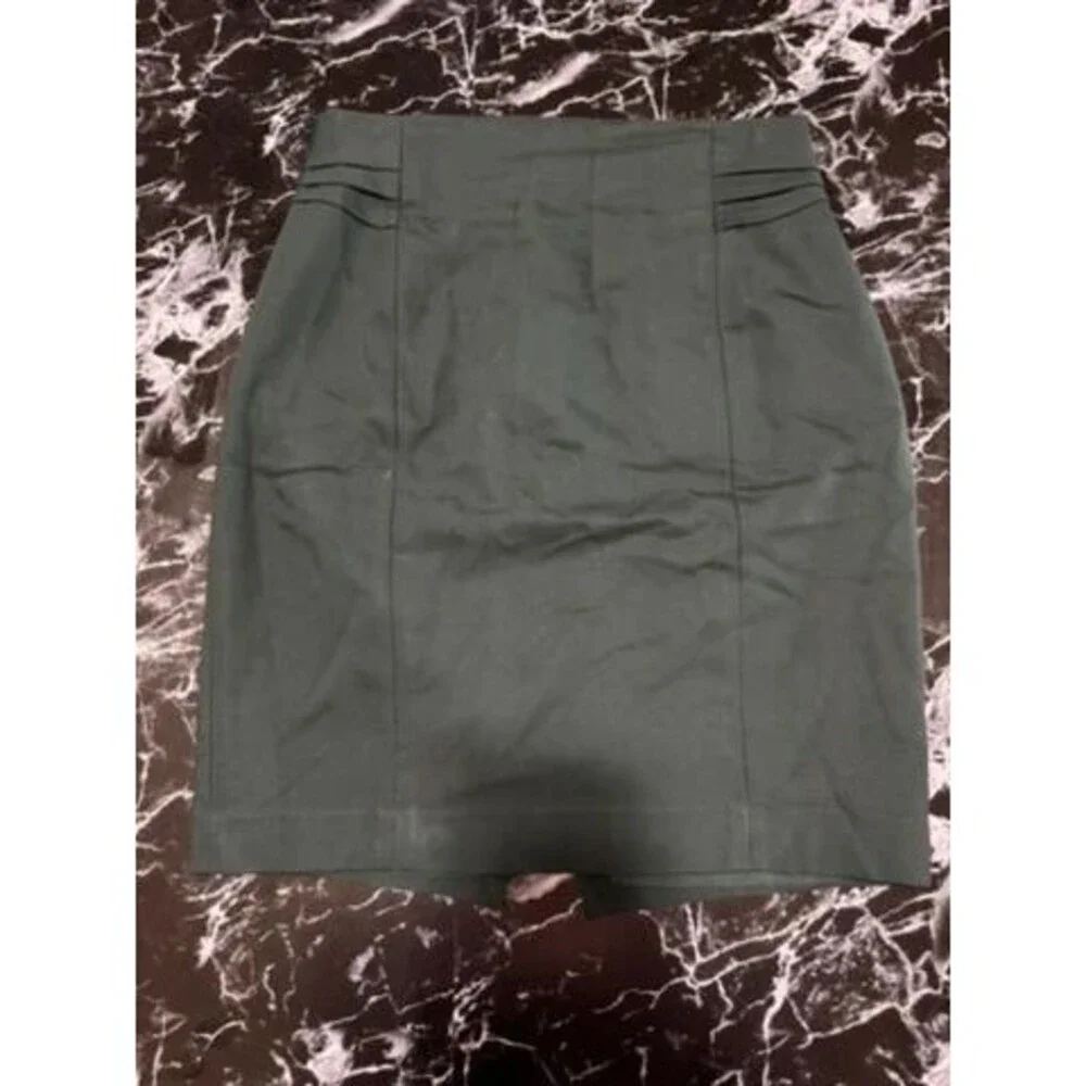 Express Pencil skirt